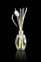 Home Potions thumbs reed diffuser 50ml Home Potions